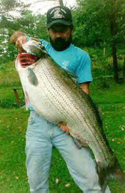 Record-setting striped bass caught in Raystown Lake
